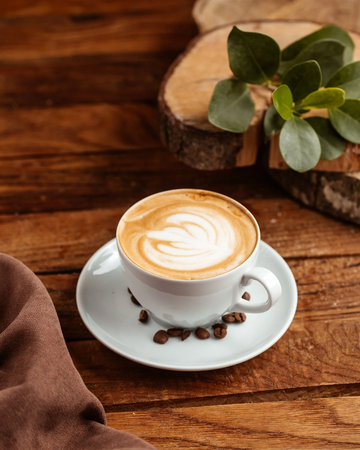 Espresso Bar (Dünya Kahveleri )